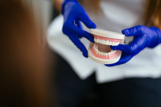 Trusted Albemarle, NC  Holistic Dental Services Experts